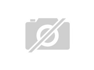 Kaninchstall robuster wetterfester und zugleich dekorativer Ausführung aus